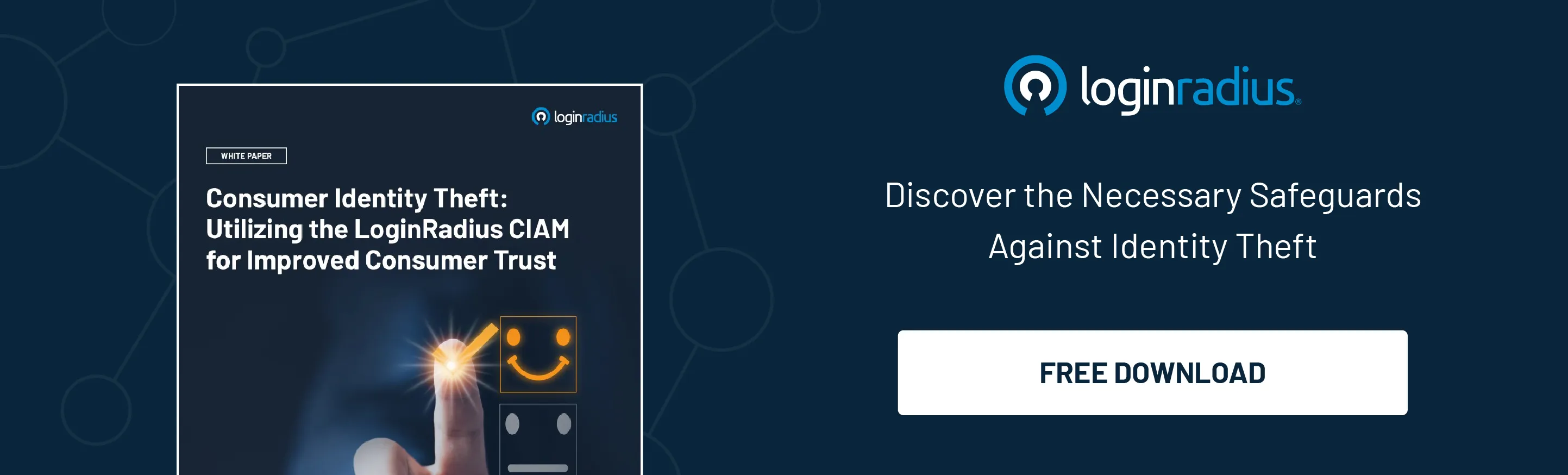 WP-consumer-identity-theft