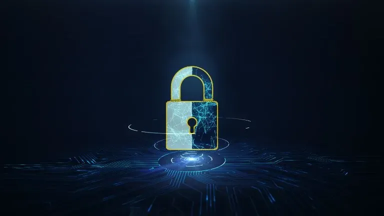 Navigating the Shifting Landscape of Data Privacy Regulations: Embracing Core Marketing Principles